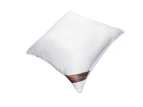 Daunen Kopfkissen 80x80 cm