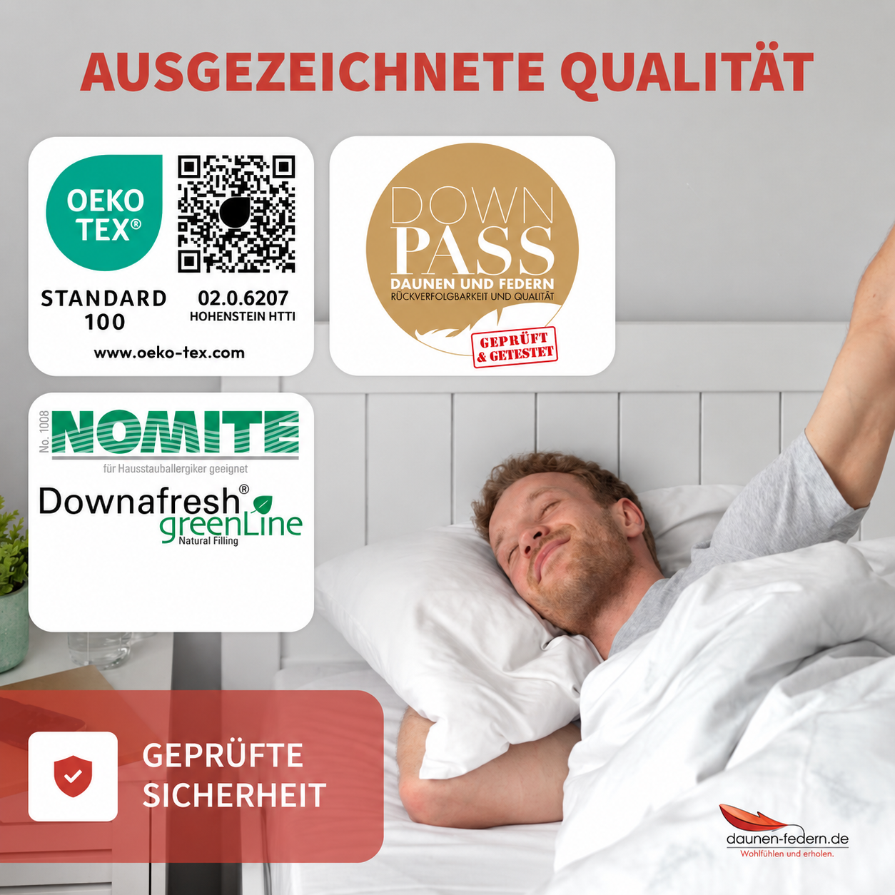Daunenkissen-nomite-oeko-tex-downafresh
