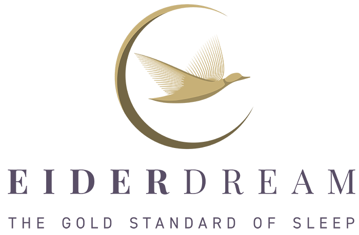 EIDERDREAM