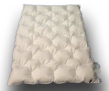 Dornröschen 38 - Stege - Bett - 100x135 -60% Daunen / 40% Federn
