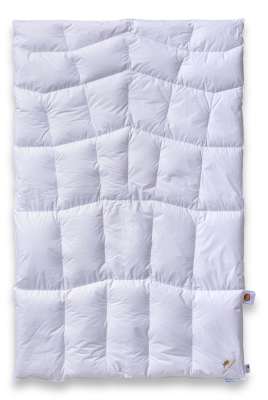 Daunendecke leicht warm 200x200 Marke SCHLAFKÖNIG